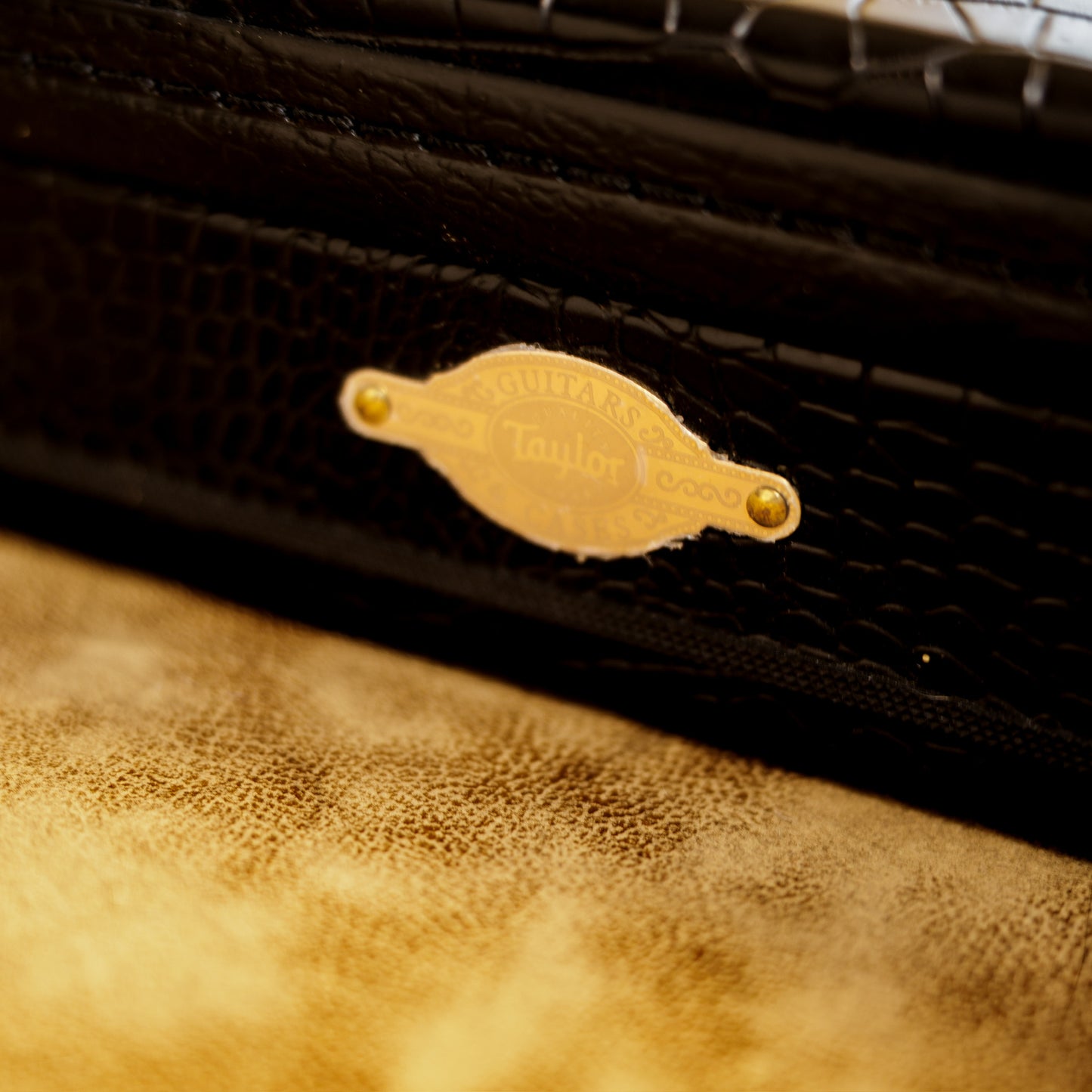 Taylor T3/B 2009 - Present - Orange