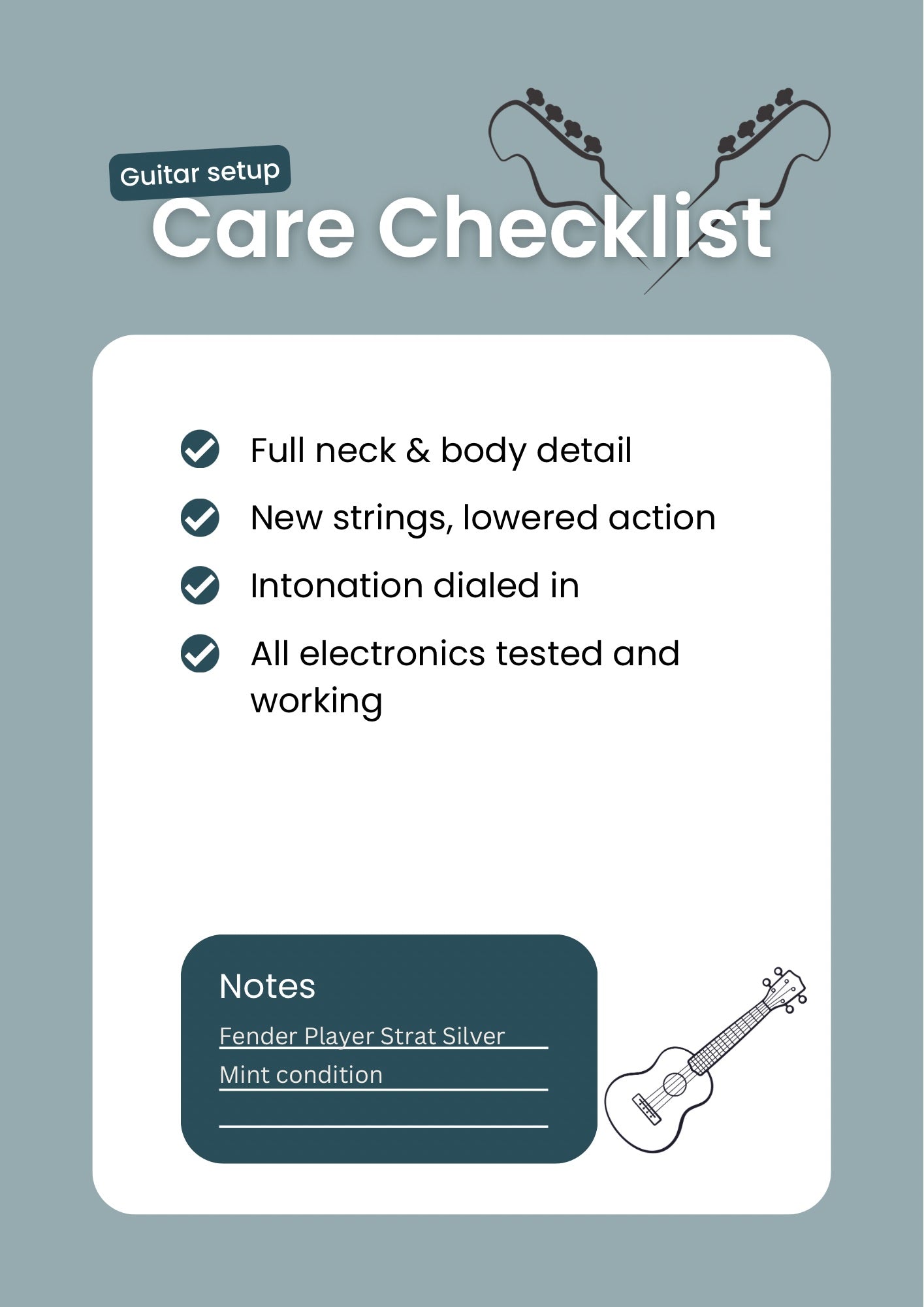 Fender Player Stratocaster with Pau Ferro Fretboard 2018 - Present - Silver