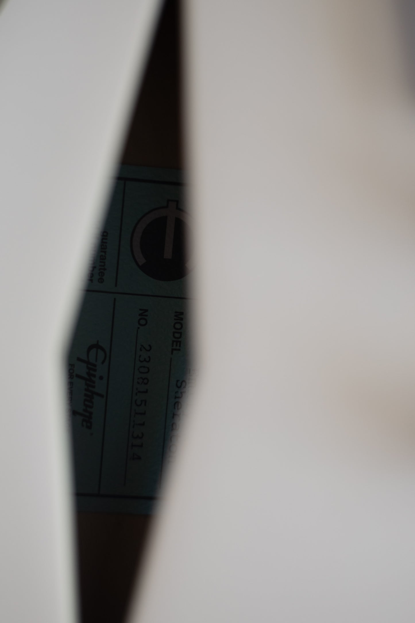 Epiphone Emily Wolfe "White Wolfe" Signature Sheraton 2023 - Present - Aged Bone White