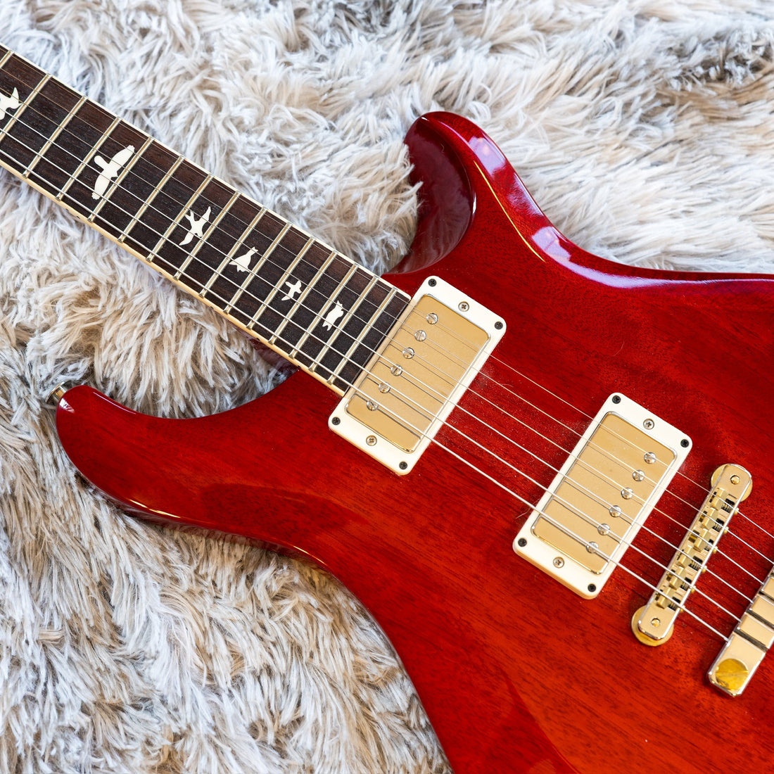 Close-up of a bare rosewood fretboard with bird inlays on a PRS electric guitar