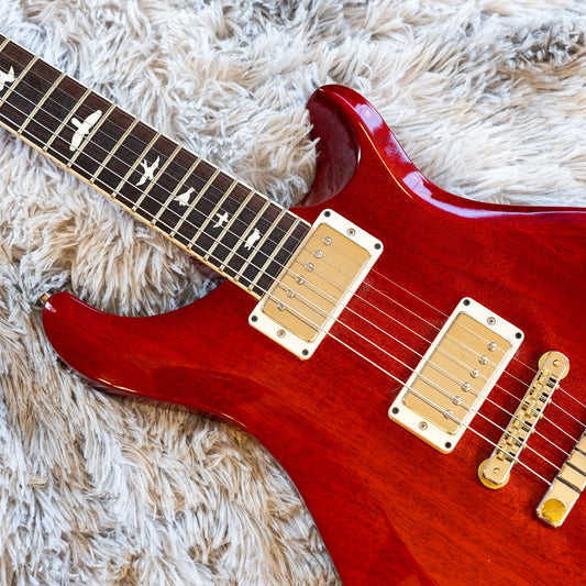 Close-up of a bare rosewood fretboard with bird inlays on a PRS electric guitar