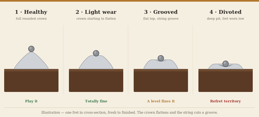Diagram of the four stages of guitar fret wear in cross-section, from a healthy rounded crown to a deep divot that needs a refret