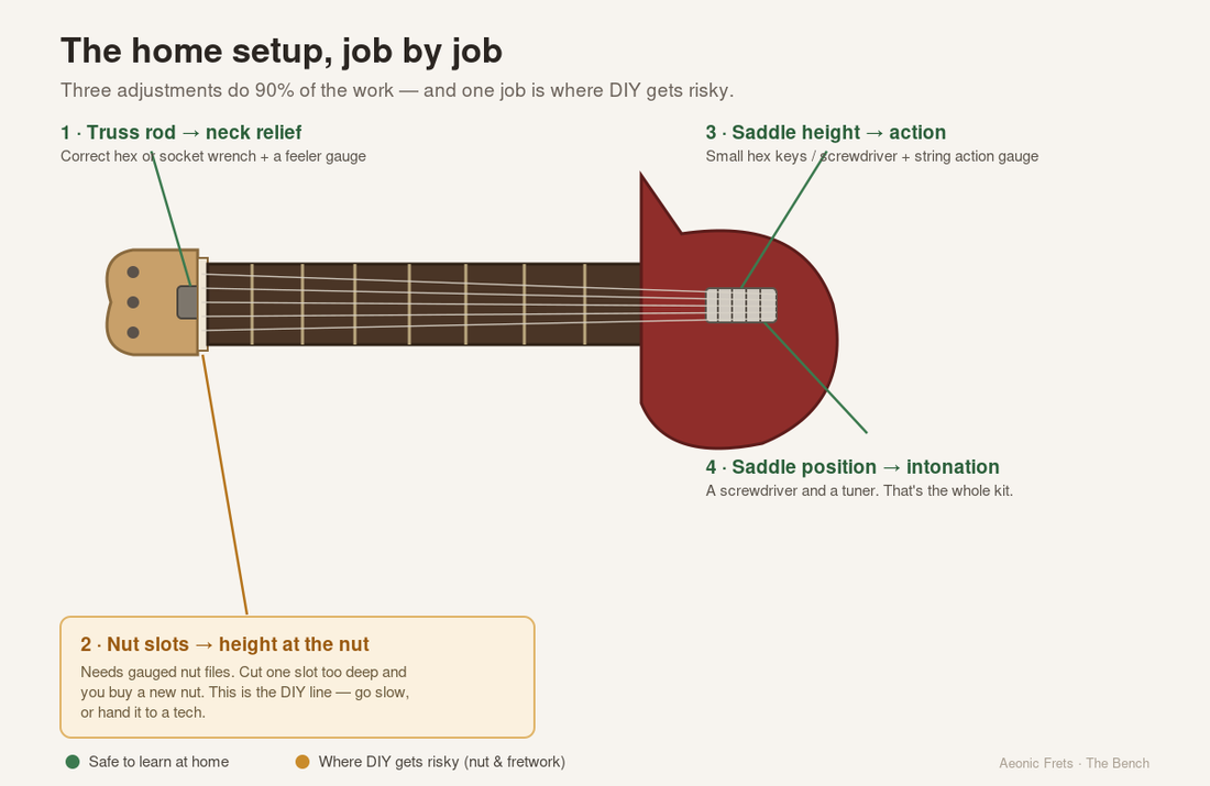 Diagram of a guitar showing the three home-setup adjustment points: truss rod for neck relief, bridge saddle height for action, and saddle position for intonation, with the nut flagged as the job where DIY gets risky.