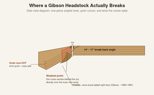 Side-view diagram of a Gibson headstock showing the break-back angle, grain runout, and the volute adding wood at the weakest point