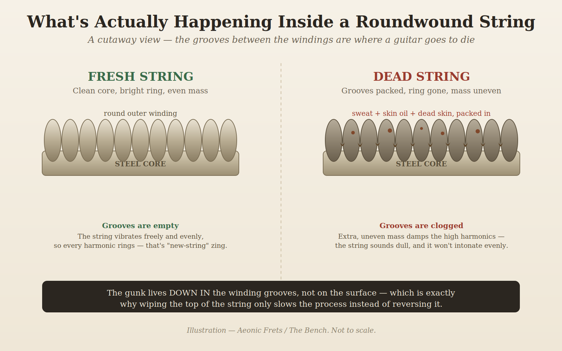 Cutaway illustration comparing a fresh roundwound guitar string with empty winding grooves to a dead string whose grooves are packed with sweat, skin oil, and corrosion.