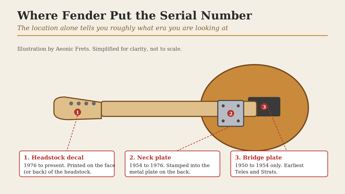 Diagram showing where Fender put the serial number by era: headstock decal from 1976 to present, metal neck plate from 1954 to 1976, and bridge plate from 1950 to 1954