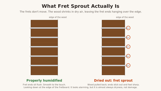 Diagram of fret sprout showing a properly humidified fretboard beside a dried-out board with protruding fret ends