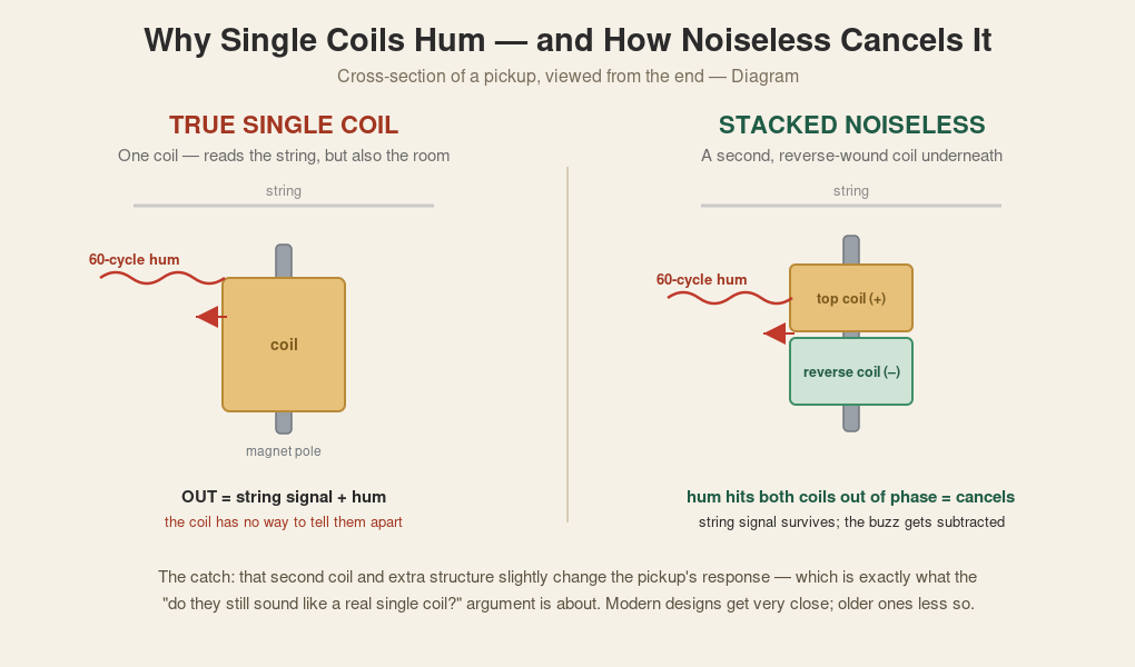 Diagram comparing a true single-coil pickup with a stacked noiseless pickup that cancels hum