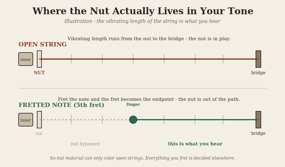 Illustration showing an open string vibrating from the nut to the bridge while a fretted note bypasses the nut