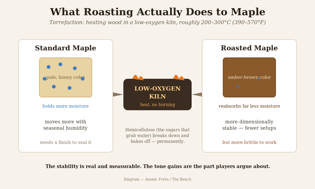Diagram comparing standard maple and roasted maple guitar necks and what roasting changes.