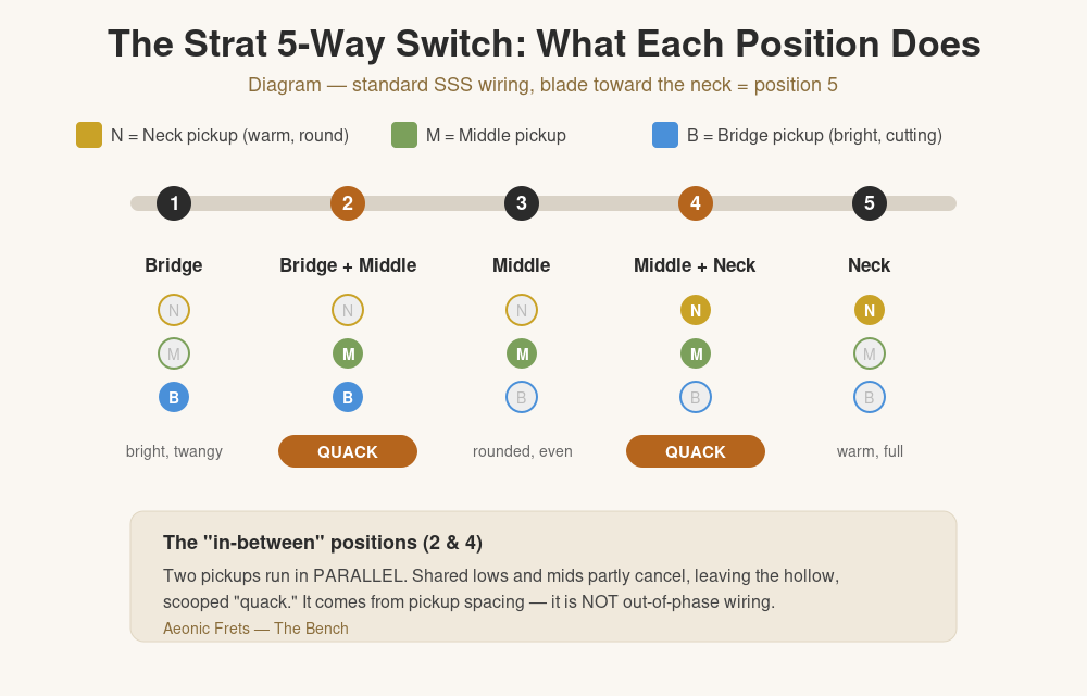 Diagram of a Stratocaster 5-way switch showing which pickups are active in each of the five positions, with positions 2 and 4 labeled as the quack in-between tones