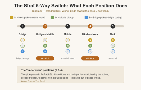 Diagram of a Stratocaster 5-way switch showing which pickups are active in each of the five positions, with positions 2 and 4 labeled as the quack in-between tones