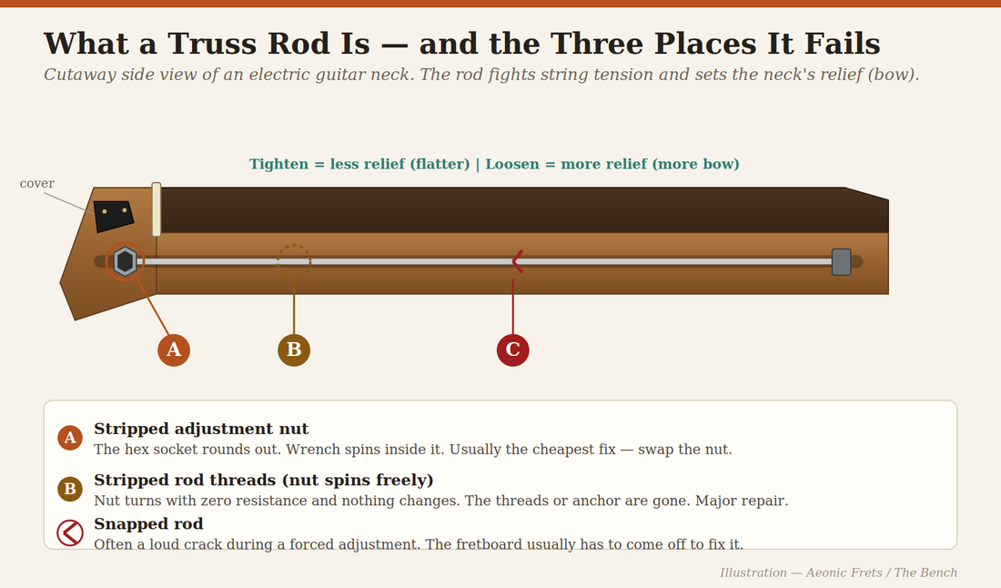 Cutaway diagram of a guitar neck labeling the truss rod's adjustment nut and anchor and its three failure points: stripped nut, stripped threads, and a snapped rod.