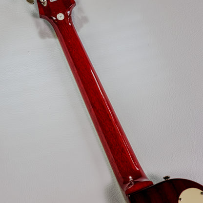 Epiphone Les Paul Standard Plus Top 2009 - Heritage Cherry Sunburst