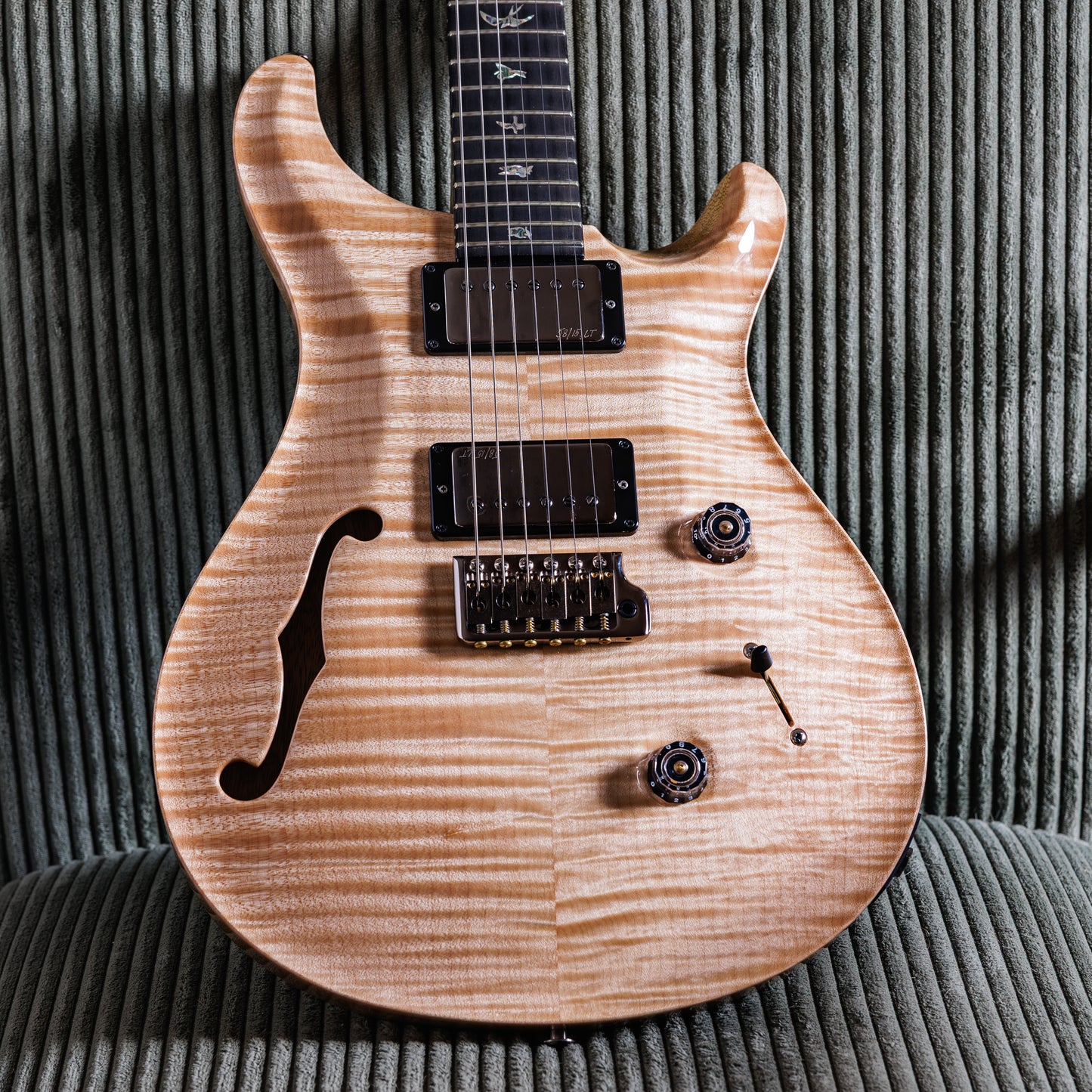 PRS Custom 24 Semi-Hollow Wood Library