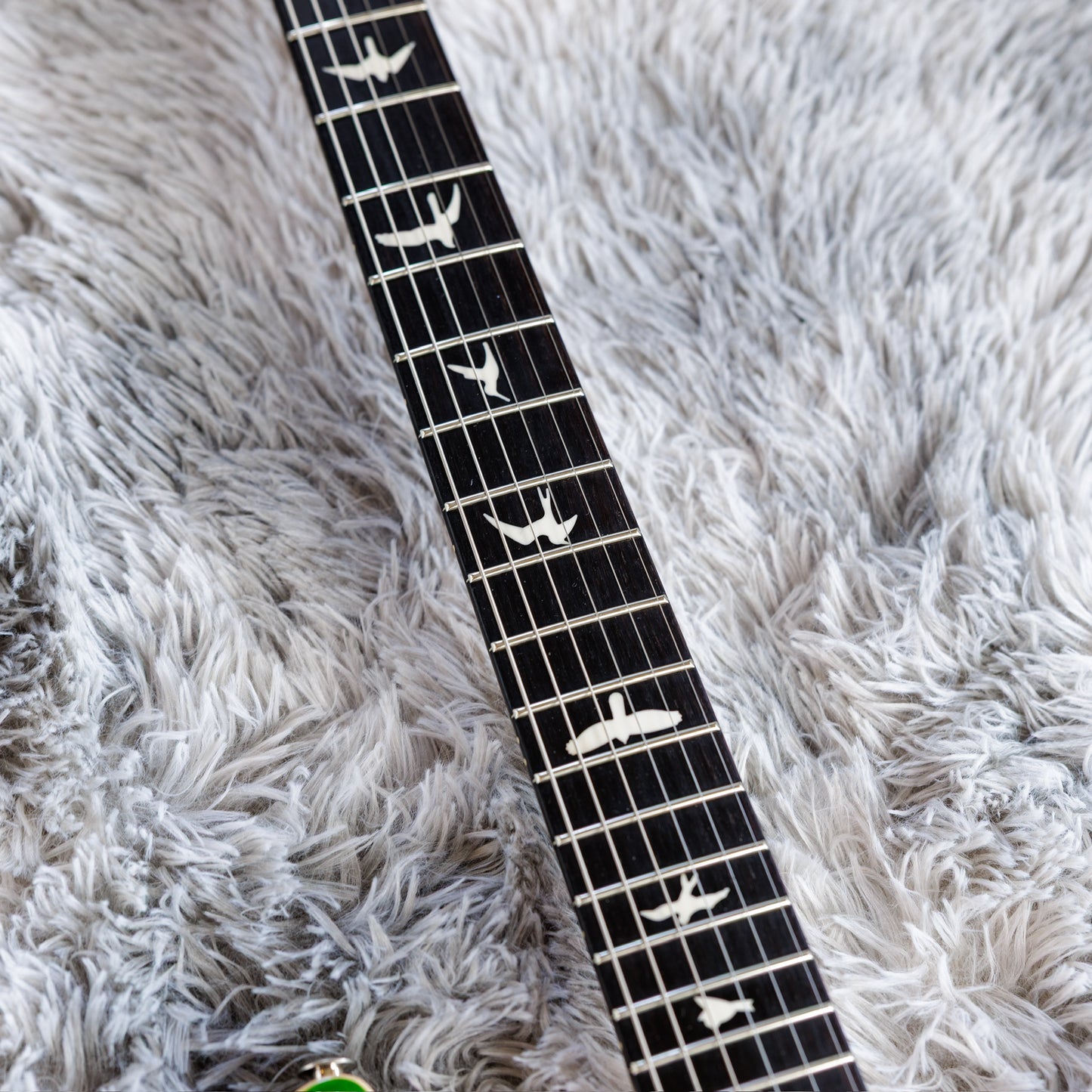 PRS CE 24 Semi-Hollow 2019 - Present - Eriza Verde