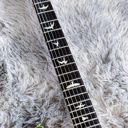 PRS CE 24 Semi-Hollow 2019 - Present - Eriza Verde