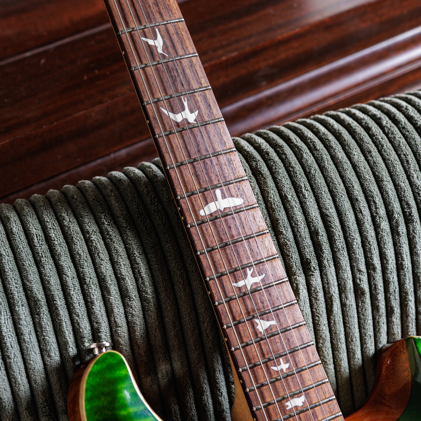 PRS CE 24 Semi-Hollow 2019 - Present - Eriza Verde