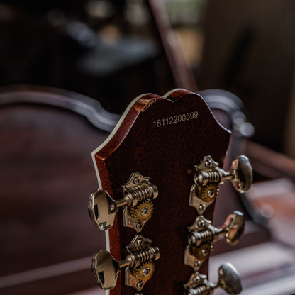 Epiphone SST Coupe 2018 - 2019 - Ebony