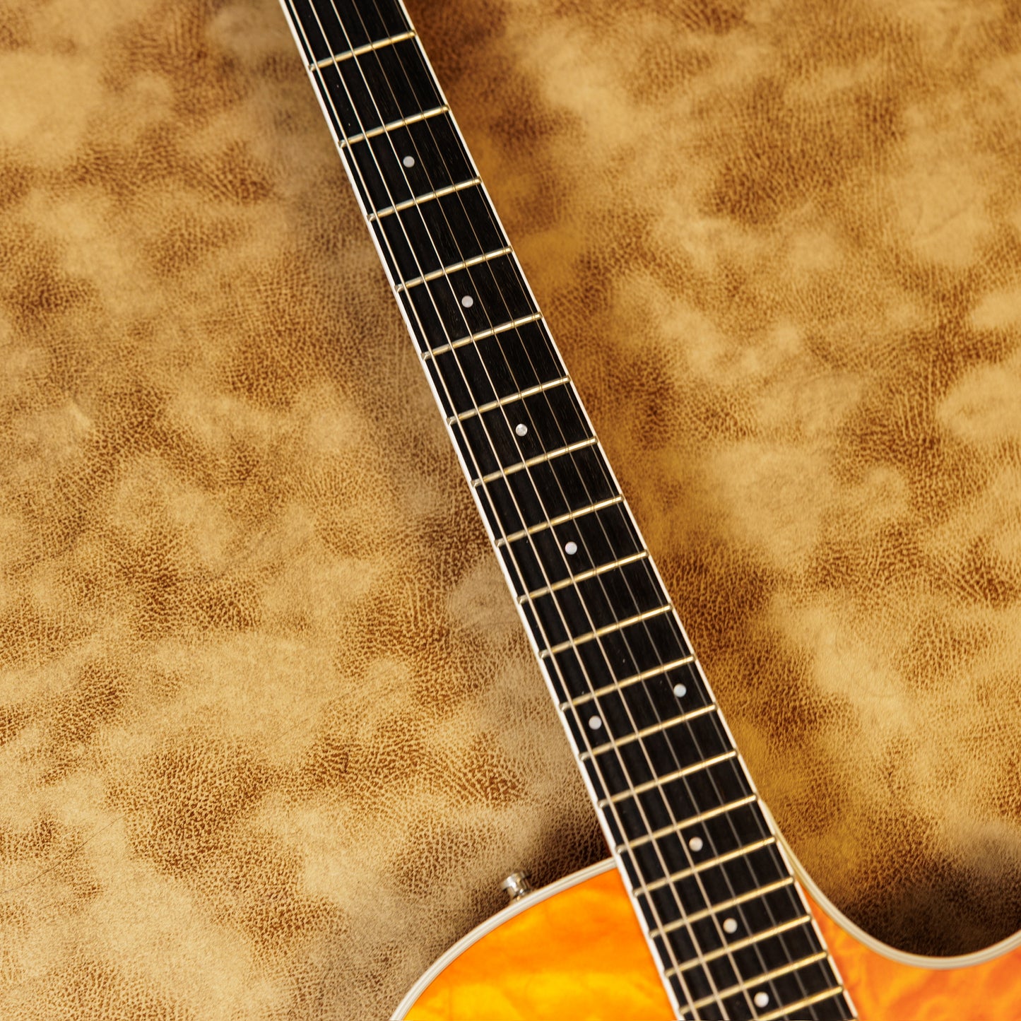 Taylor T3/B 2009 - Present - Orange