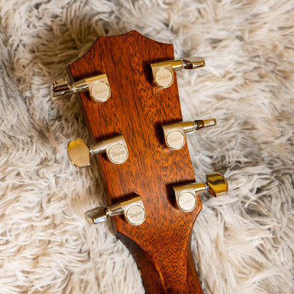 Taylor T5 Classic with Tropical Mahogany Top 2014 - 2017 - Natural