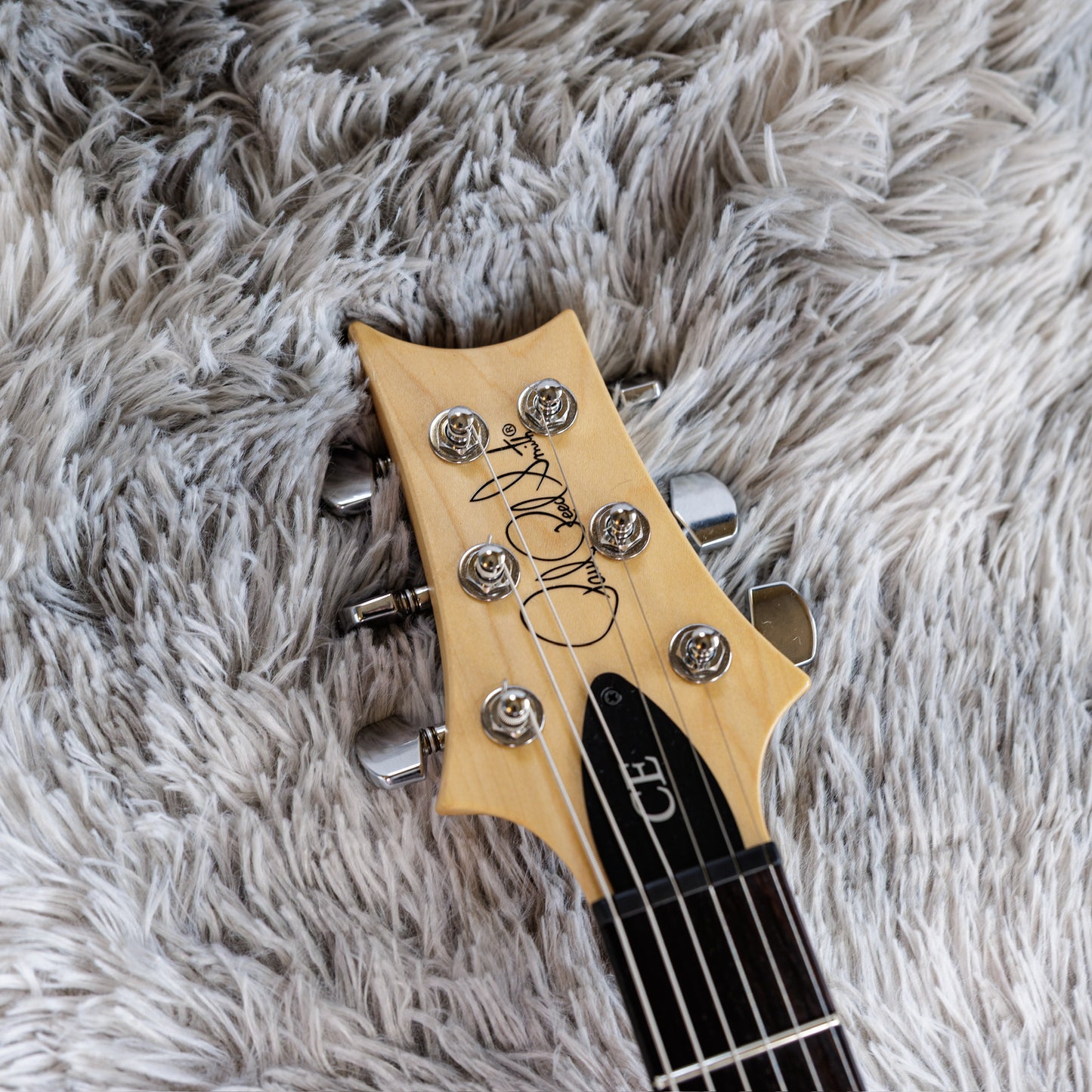PRS CE 24 Semi-Hollow 2019 - Present - Eriza Verde