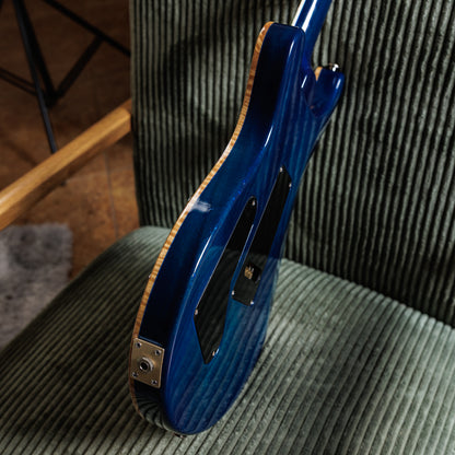 PRS 25th Anniversary Custom 24 10-Top 2010 - Faded Whale Blue