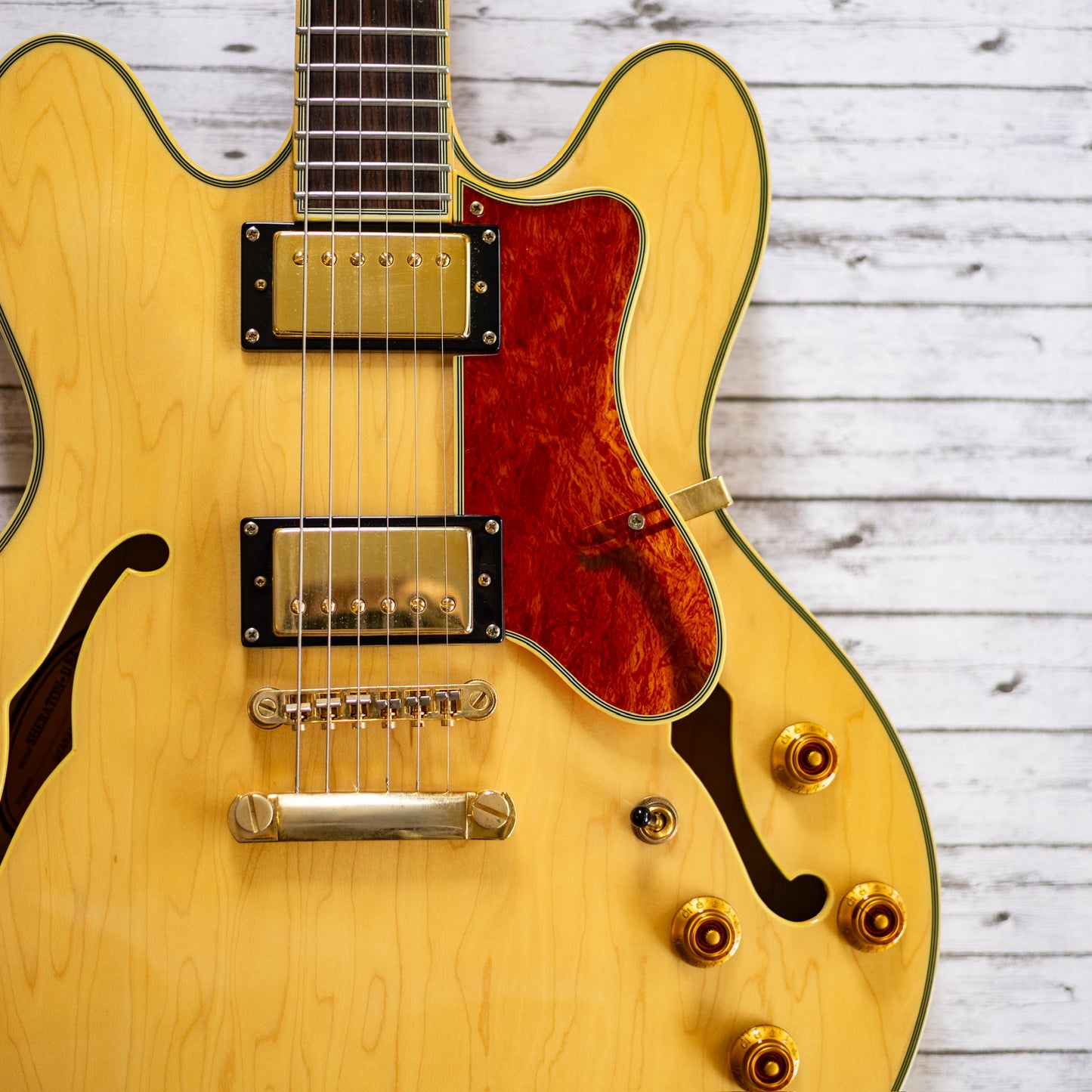 This One Sings - 2005 Epiphone Sheraton II - Natural