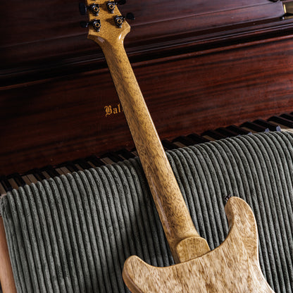 PRS Custom 24 Semi-Hollow Wood Library