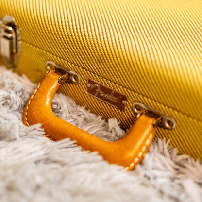 Fender James Burton US Signature Telecaster 1990 - 2006 - Black with Gold Paisley