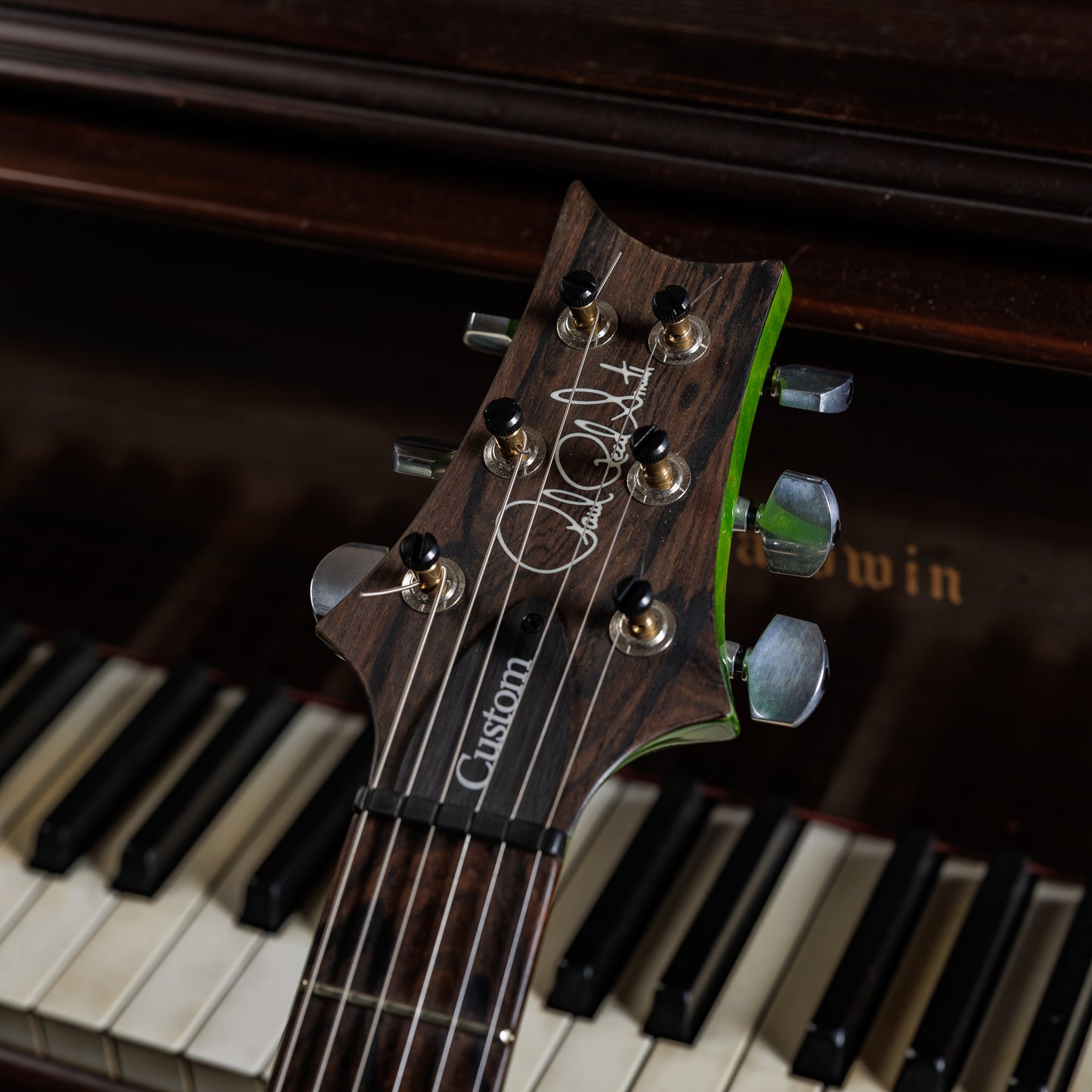 PRS Custom 24 Wood Library