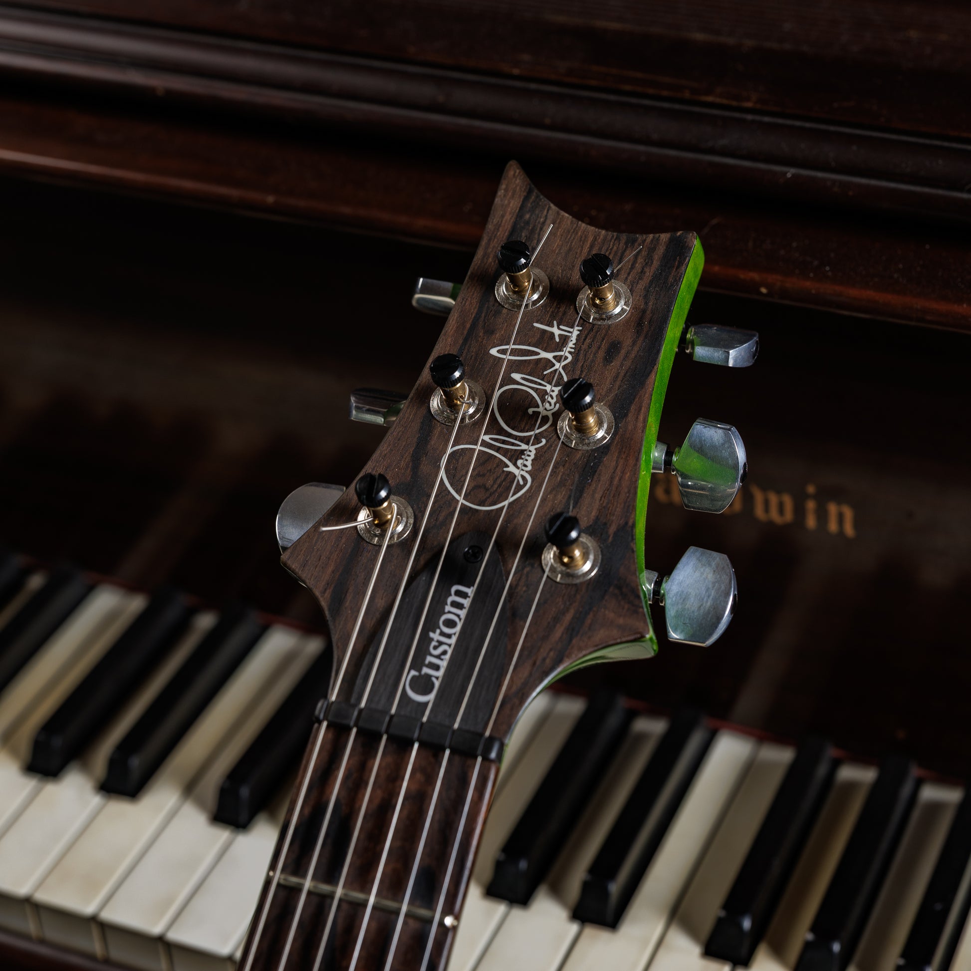 PRS Custom 24 Wood Library
