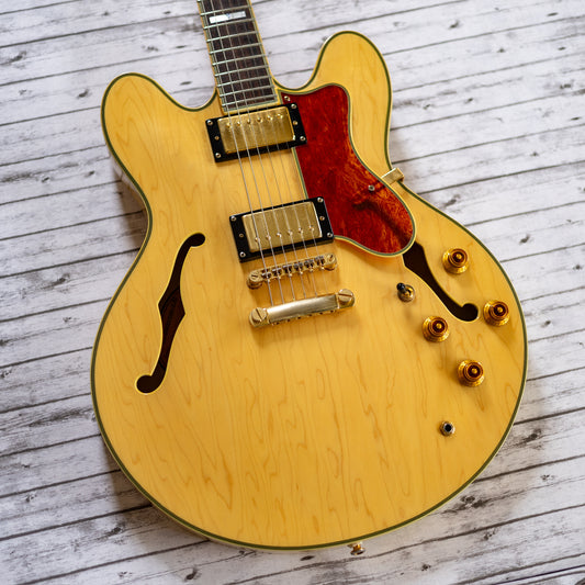 This One Sings - 2005 Epiphone Sheraton II - Natural