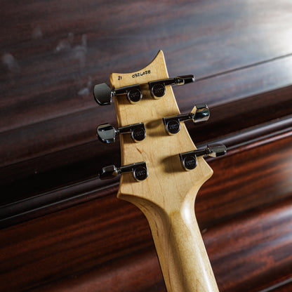 PRS CE 24 Semi-Hollow 2019 - Present - Eriza Verde