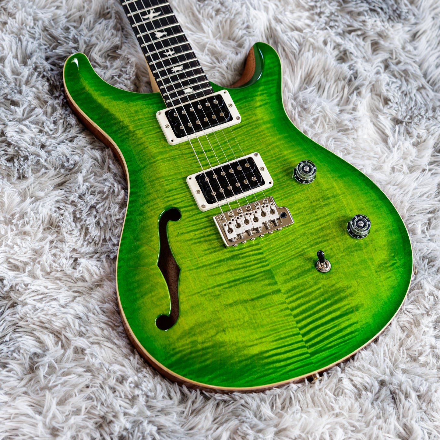 PRS CE 24 Semi-Hollow 2019 - Present - Eriza Verde
