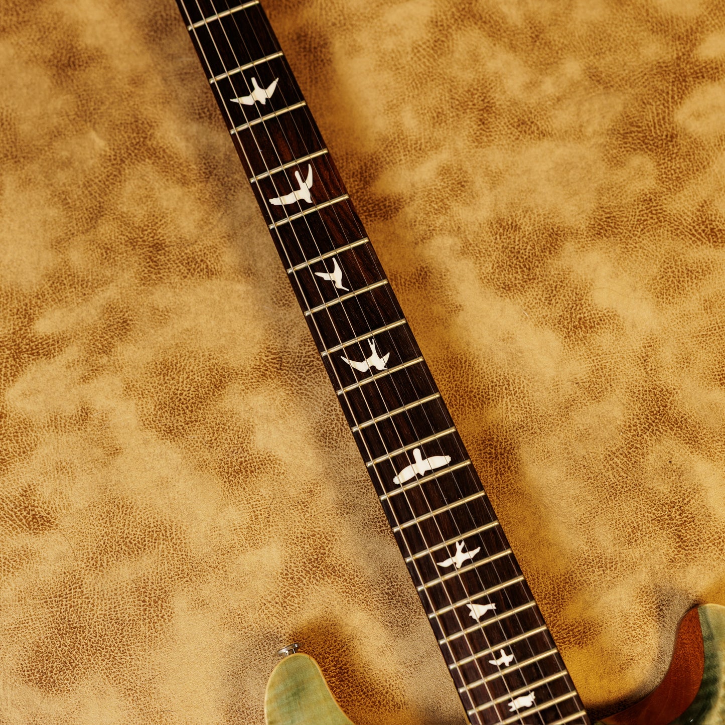 PRS CE 24 2016 - Present - Trampas Green