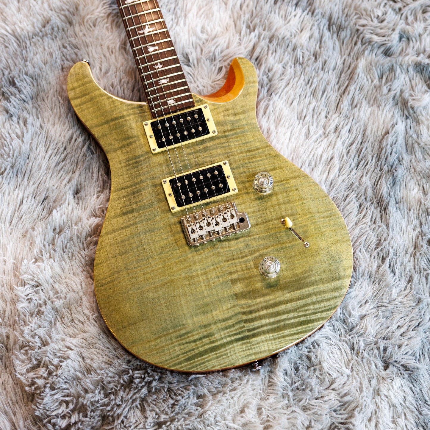 Minty PRS SE Custom 24 2017 - 2019 - Trampas Green