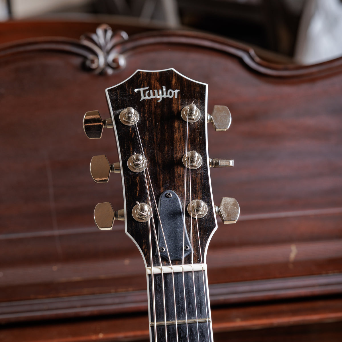 Taylor T5z Pro with Big Leaf Maple Top 2024 - Harbor Blue