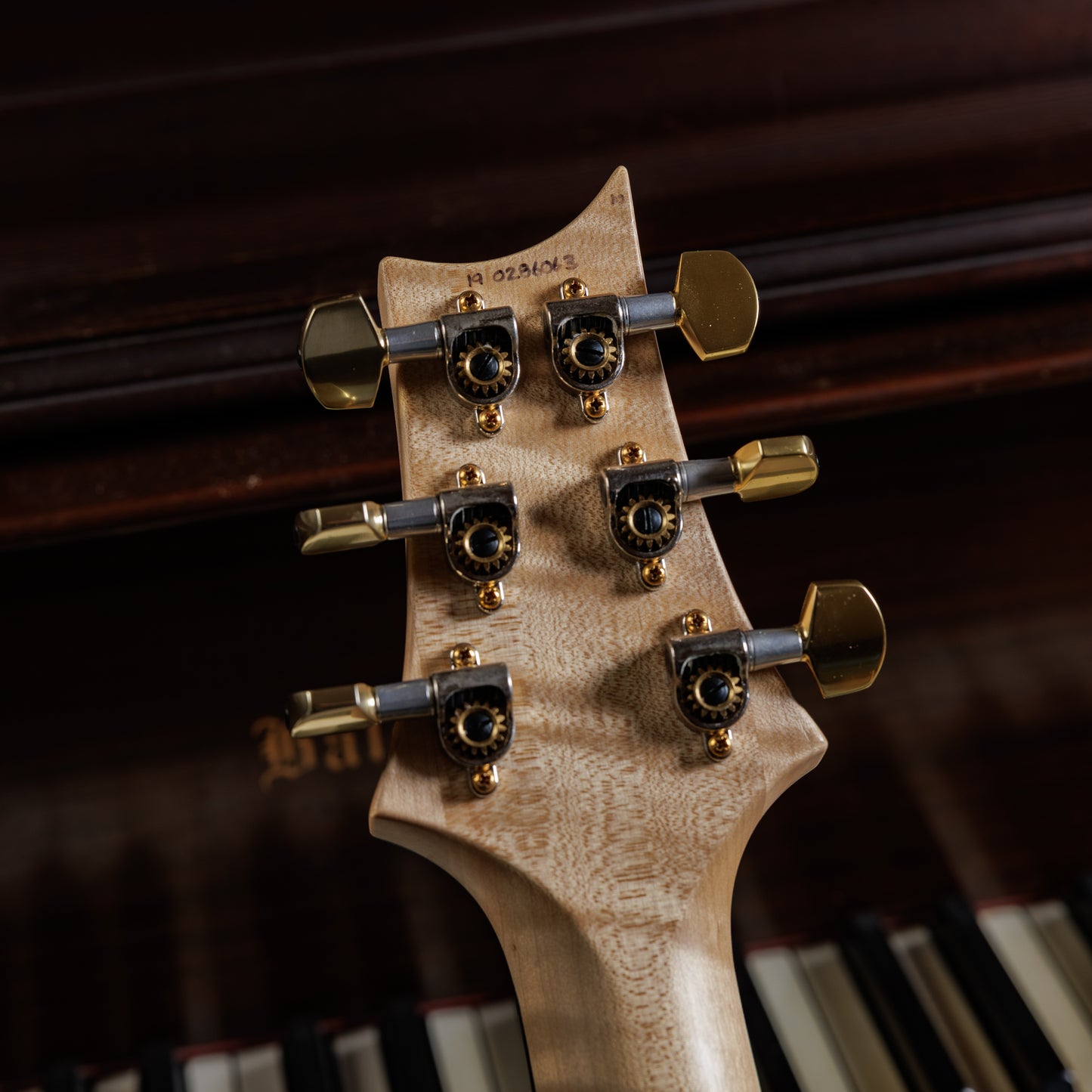 PRS Custom 24 Wood Library