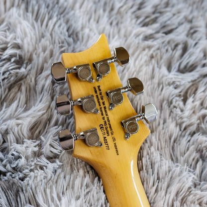 PRS SE Custom 24 2017 - 2019 - Trampas Green