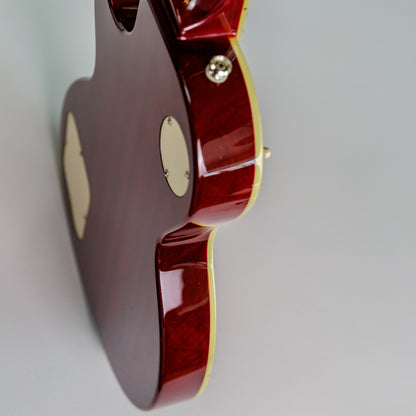 Epiphone Les Paul Standard Plus Top 2009 - Heritage Cherry Sunburst