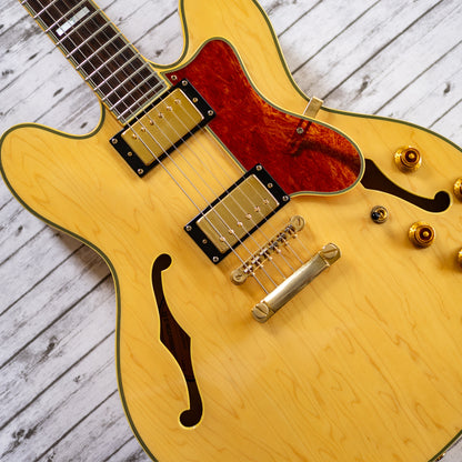 This One Sings - 2005 Epiphone Sheraton II - Natural