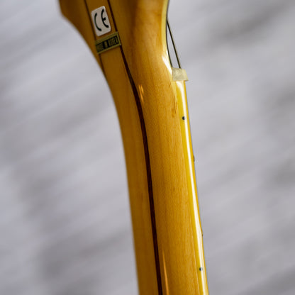 This One Sings - 2005 Epiphone Sheraton II - Natural