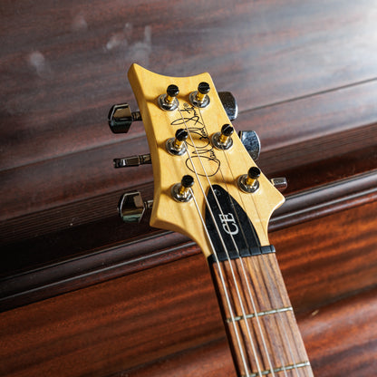 PRS CE 24 Semi-Hollow 2019 - Present - Eriza Verde