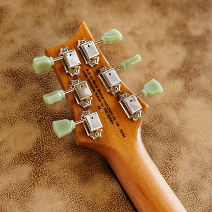 PRS SE Zach Myers 2014 - 2017 - Trampas Green