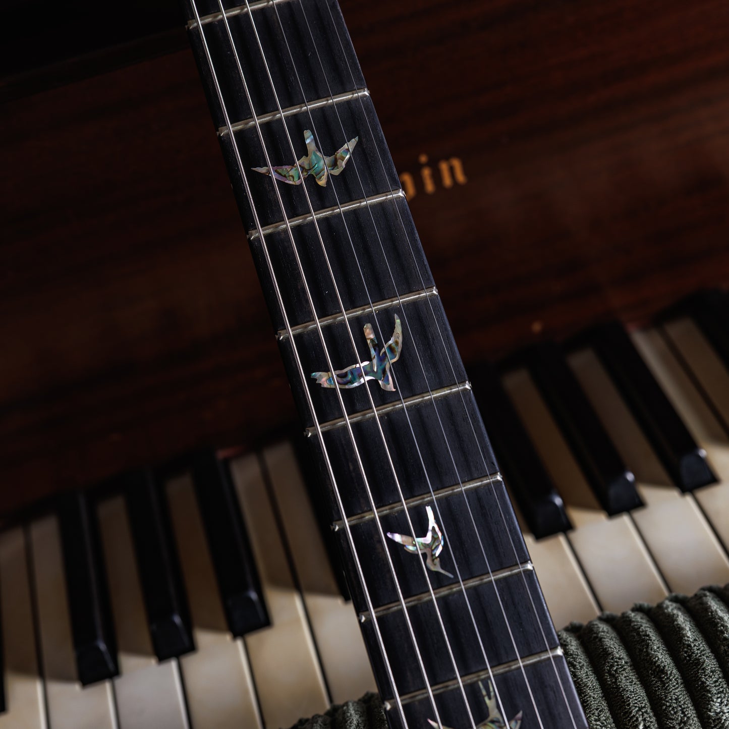 PRS Custom 24 Semi-Hollow Wood Library