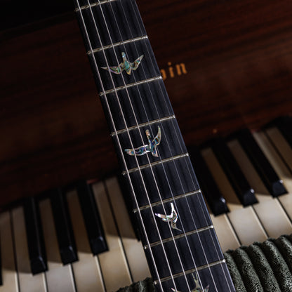 PRS Custom 24 Semi-Hollow Wood Library