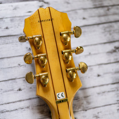 This One Sings - 2005 Epiphone Sheraton II - Natural