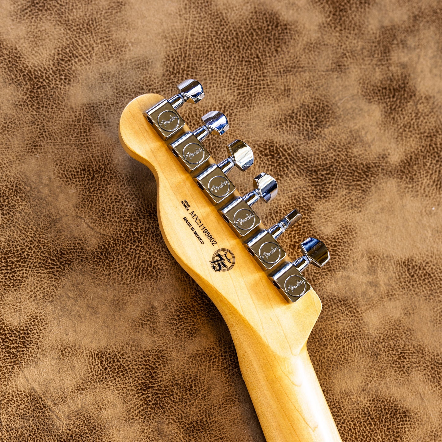 Fender Player Telecaster Plus Top 2019 - Blue Burst