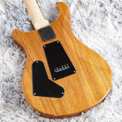 PRS CE 24 Semi-Hollow 2019 - Present - Eriza Verde